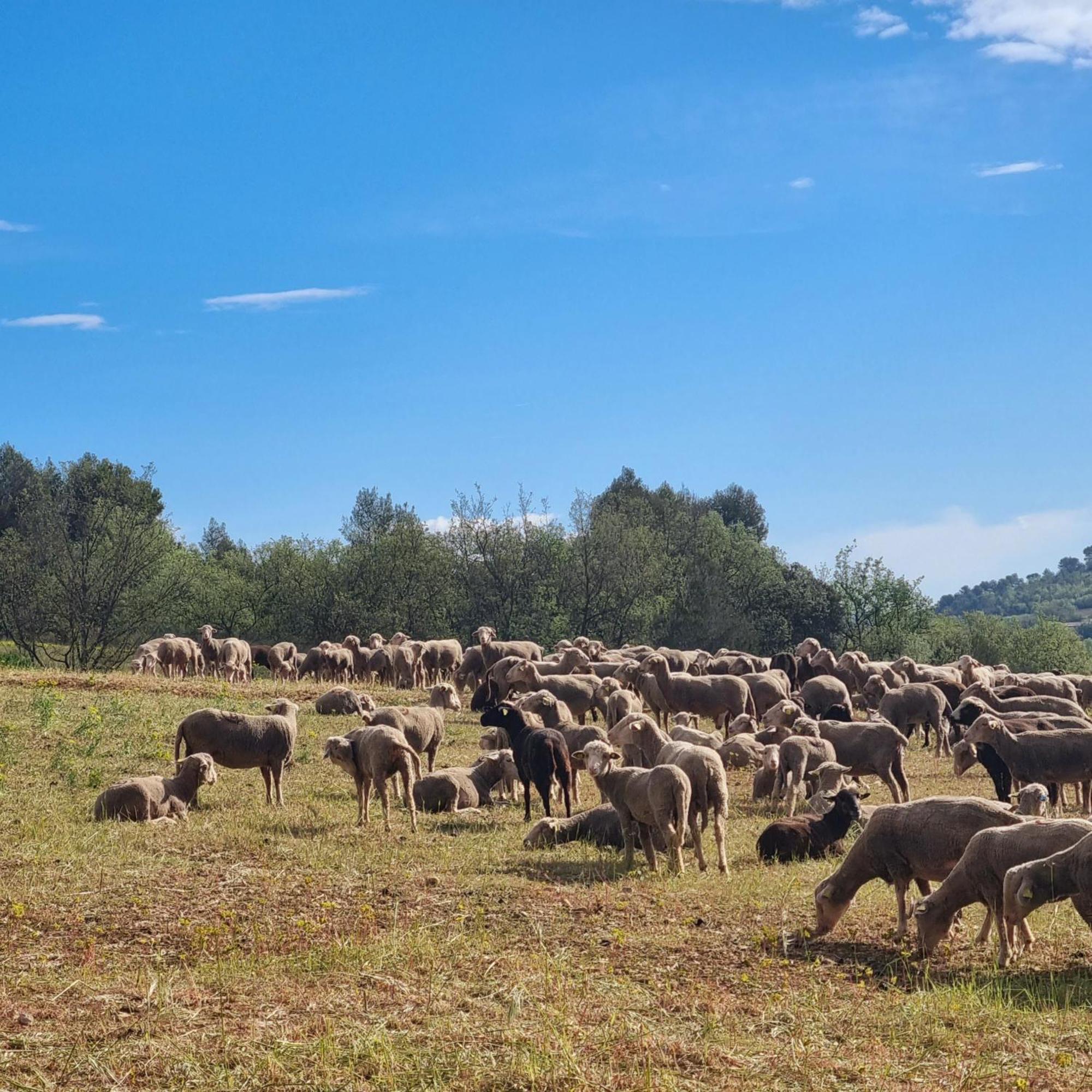 L'Oustaou Du Luberon Et Spa Villelaure Eksteriør bilde