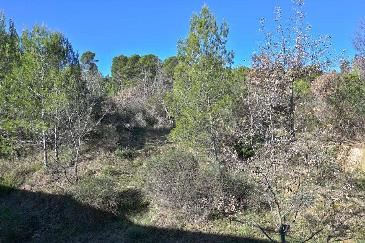 L'Oustaou Du Luberon Et Spa Villelaure Eksteriør bilde