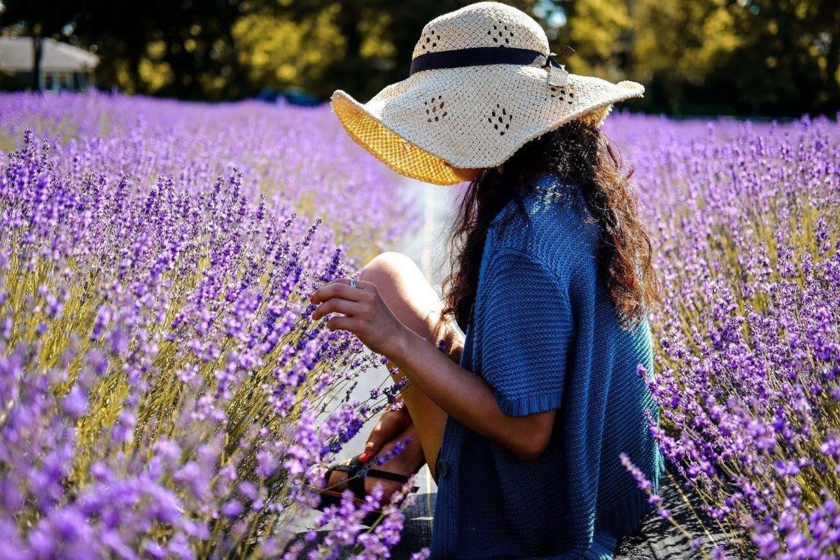 L'Oustaou Du Luberon Et Spa Villelaure Eksteriør bilde