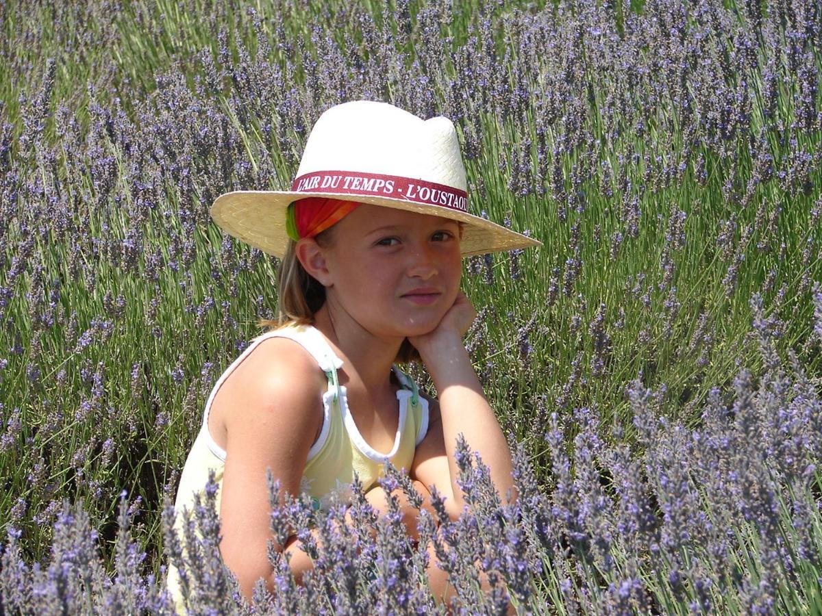 L'Oustaou Du Luberon Et Spa Villelaure Eksteriør bilde