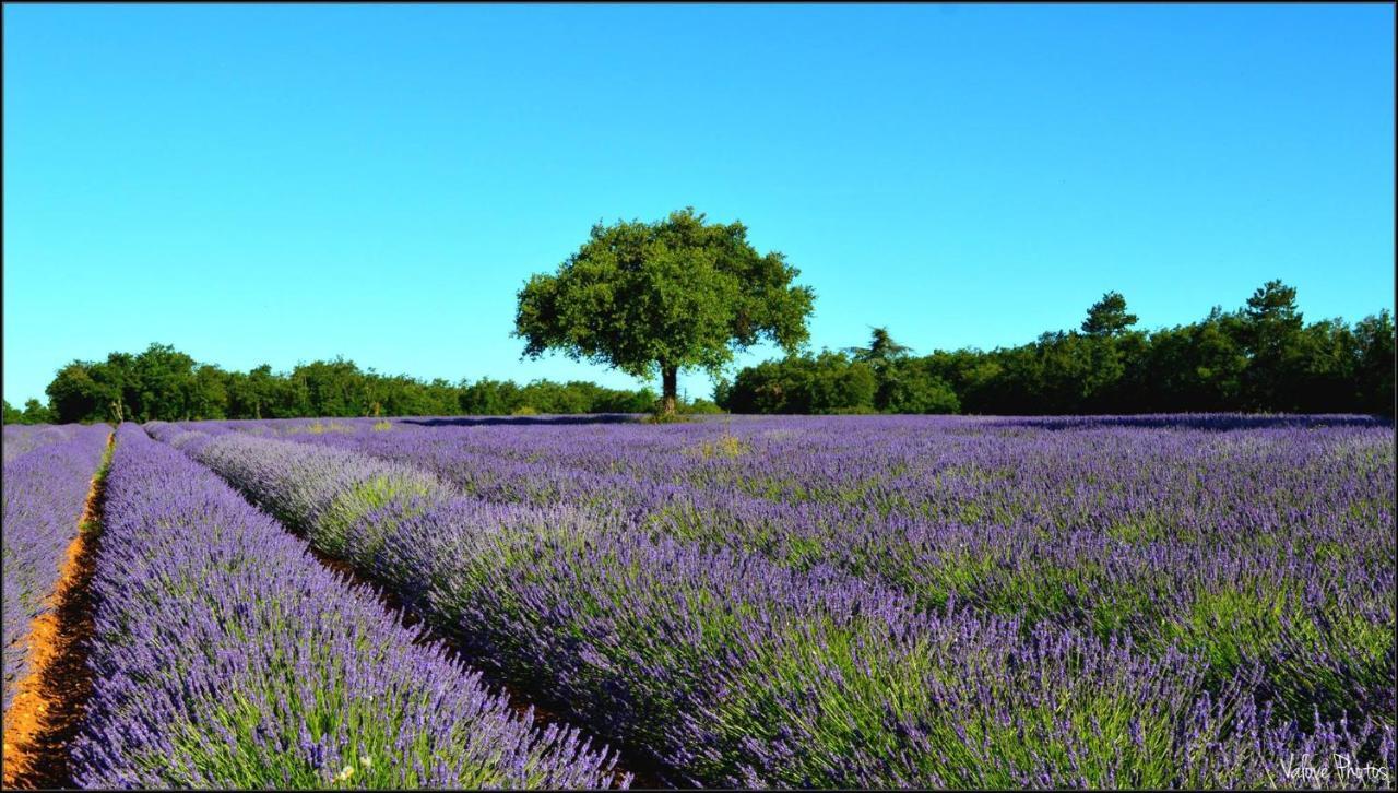 L'Oustaou Du Luberon Et Spa Villelaure Eksteriør bilde